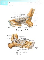 Sobotta  Atlas of Human Anatomy  Trunk, Viscera,Lower Limb Volume2 2006, page 307